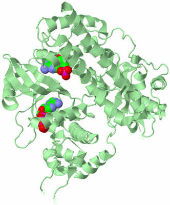 Image Biological Unit 2