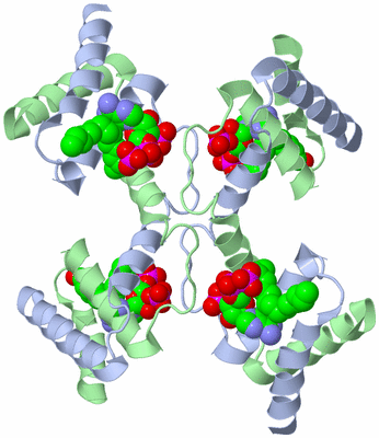 Image Biological Unit 1