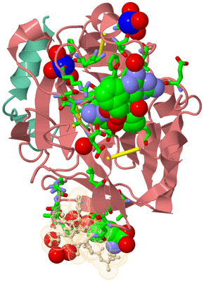 Image Asym./Biol. Unit - sites