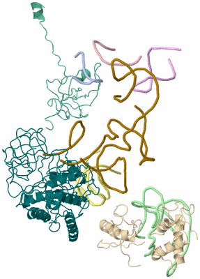 Image Asym./Biol. Unit