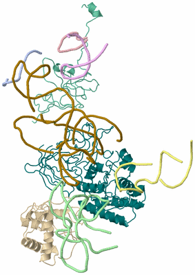 Image Asym./Biol. Unit