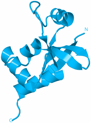 Image Biological Unit 10
