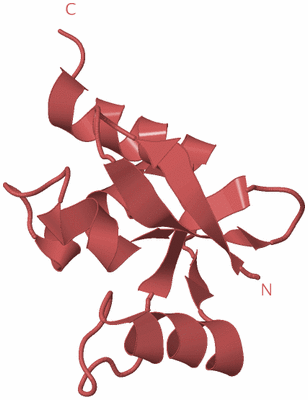 Image Biological Unit 11