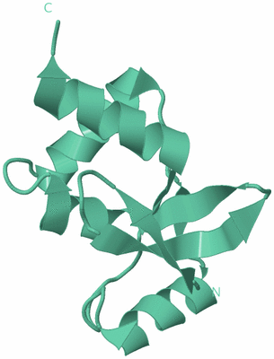 Image Biological Unit 12