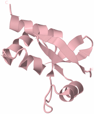 Image Biological Unit 3