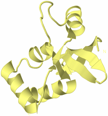 Image Biological Unit 4