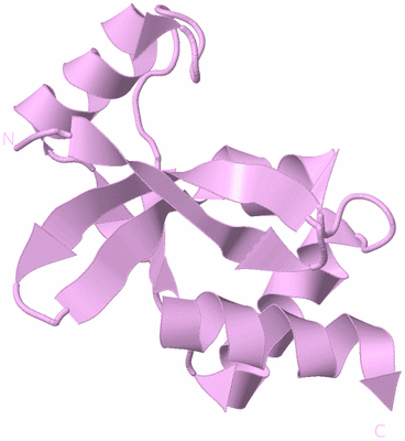 Image Biological Unit 5