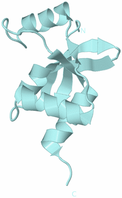 Image Biological Unit 6