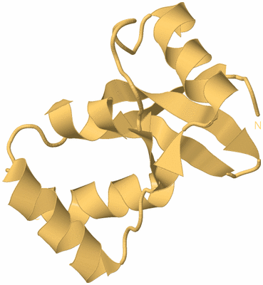Image Biological Unit 7