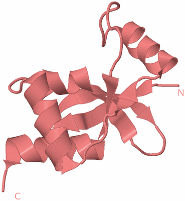 Image Biological Unit 8