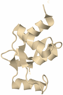Image Biological Unit 9