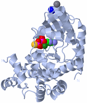 Image Biological Unit 1