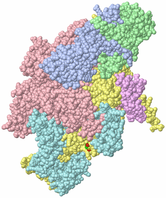 Image Biol. Unit 1 - sites