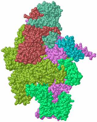 Image Biological Unit 2