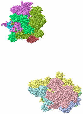 Image Asym. Unit - sites