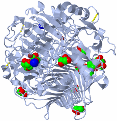 Image Biological Unit 1