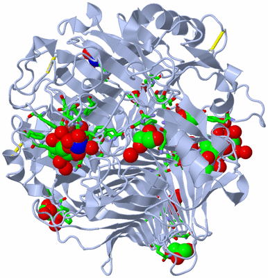 Image Biol. Unit 1 - sites