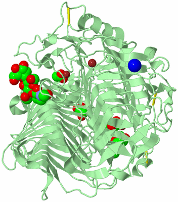 Image Biological Unit 2