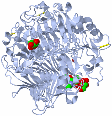 Image Biological Unit 1