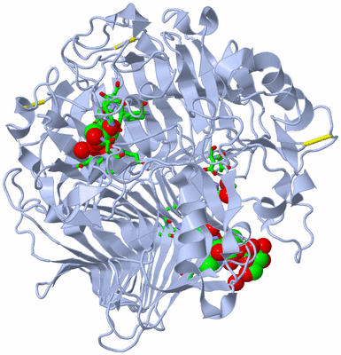 Image Biol. Unit 1 - sites