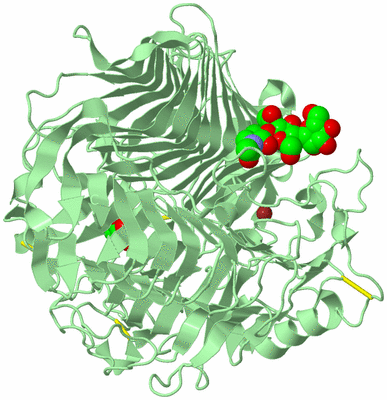 Image Biological Unit 2