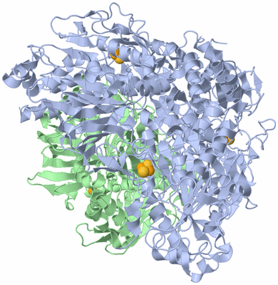 Image Biological Unit 1