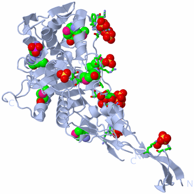 Image Biol. Unit 1 - sites