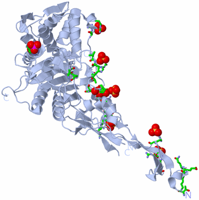 Image Biol. Unit 1 - sites