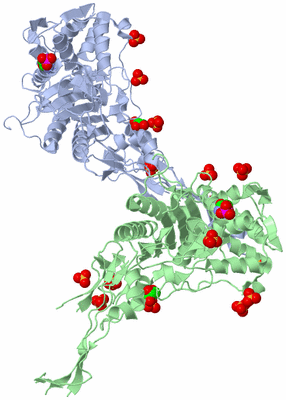 Image Biological Unit 3