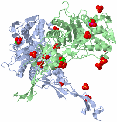 Image Biological Unit 5