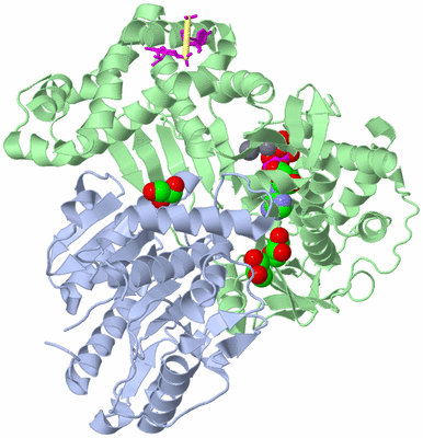 Image Asym./Biol. Unit