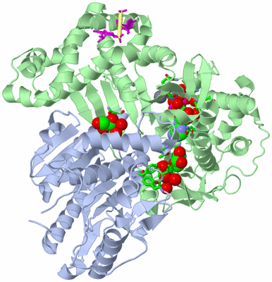 Image Asym./Biol. Unit - sites