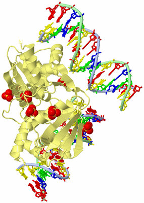 Image Biological Unit 1