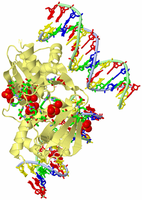 Image Biol. Unit 1 - sites