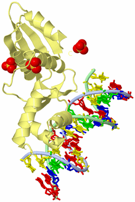 Image Biological Unit 2