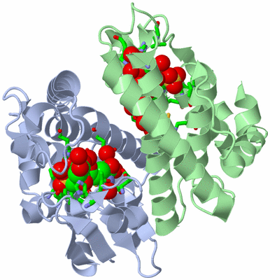 Image Asym./Biol. Unit - sites