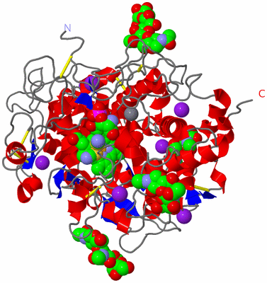 Image Asym./Biol. Unit