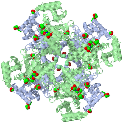 Image Biological Unit 1