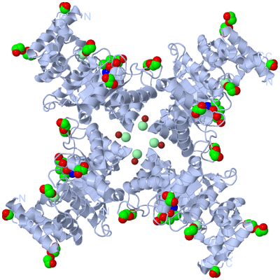 Image Biological Unit 2