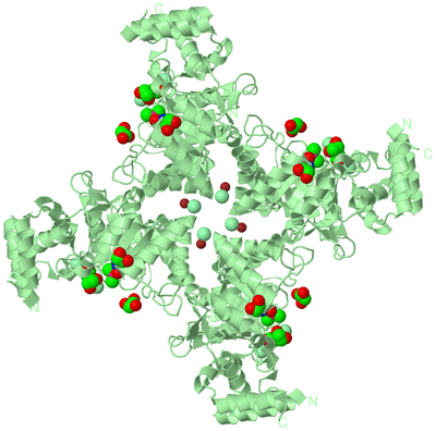 Image Biological Unit 3