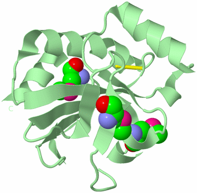 Image Biological Unit 2