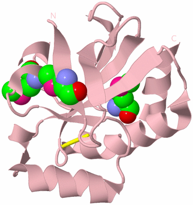 Image Biological Unit 3