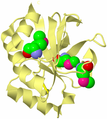 Image Biological Unit 4