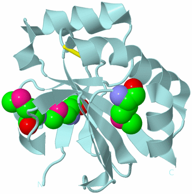 Image Biological Unit 6