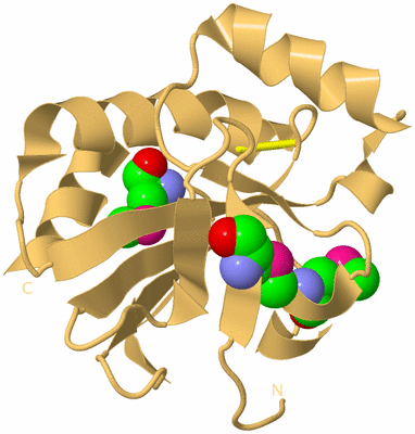 Image Biological Unit 7