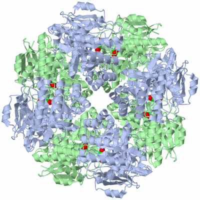 Image Biological Unit 1