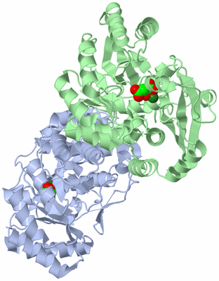 Image Biological Unit 2