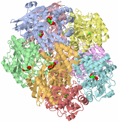 Image Biological Unit 1