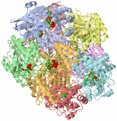 Image Biol. Unit 1 - sites