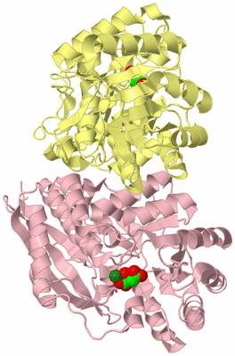 Image Biological Unit 3